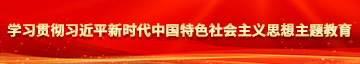 乱插A学习贯彻习近平新时代中国特色社会主义思想主题教育